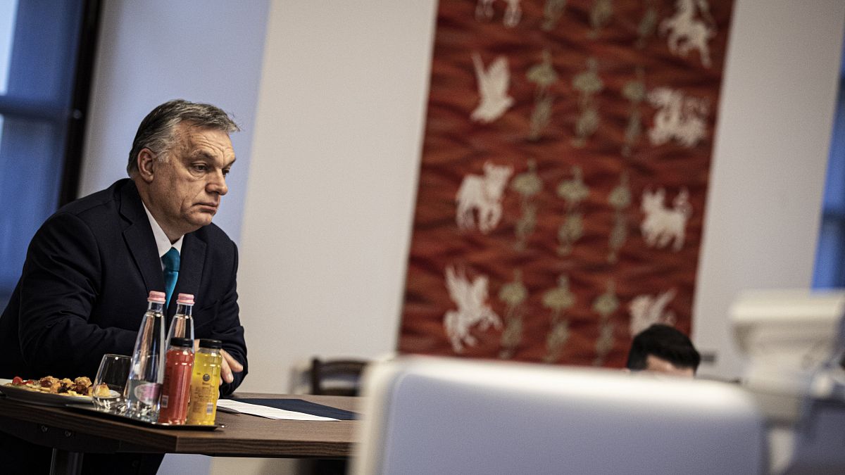 Orbán Viktor a Kína és a kelet-közép-európai országok közti egyeztetésen  2021. február 9-én.