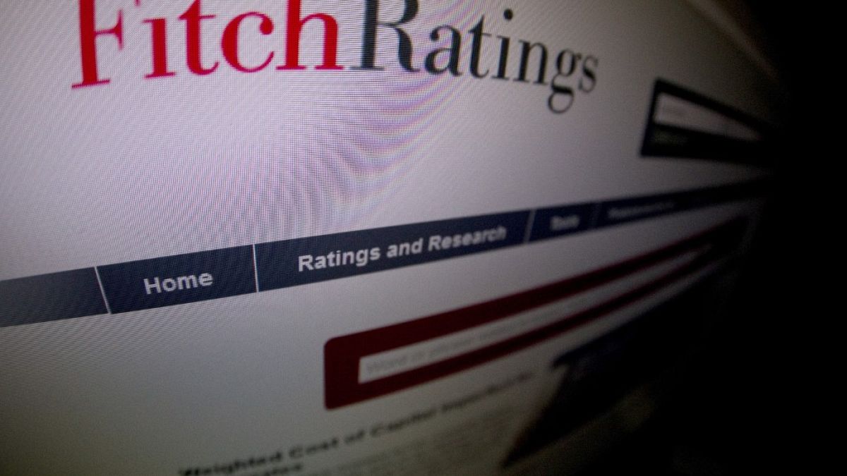 Fitch Ratings internet sitesi