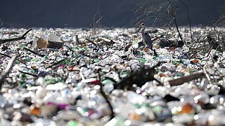 A grey heron stands between dumped plastic bottles and barrels on the bank of the Potpecko Lake on the Lim river, near city of Priboj, Serbia, Tuesday, Jan. 5, 2021.