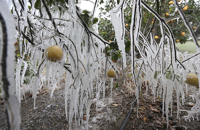 Delcia Lopez/Le moniteur via AP Photo