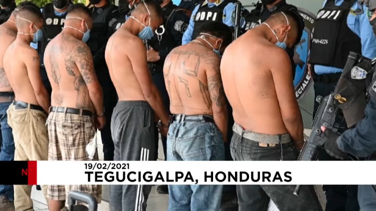 شاهد: اعتقال عناصر من عصابة مارا سالفاتروشا الإجرامية في هندوراس