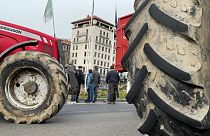 В Лионе фермеры протестуют против школьного меню без мяса