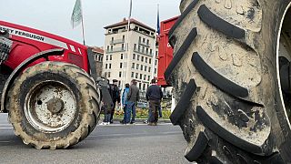 В Лионе фермеры протестуют против школьного меню без мяса