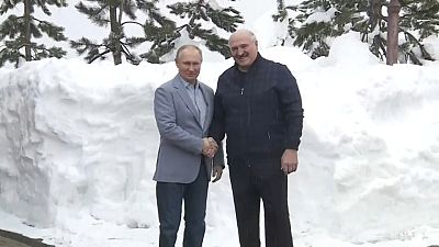 Встреча Владимира Путина и Александра Лукашенко в Сочи