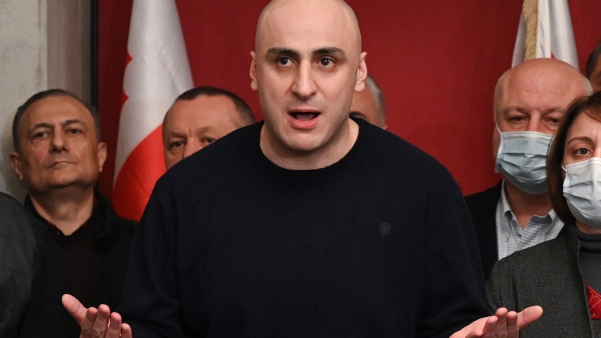 Nika Melia, chairman of the United National Movement opposition party speaks during a news conference in Tbilisi, Georgia, in October, 2020. 