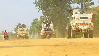 Congo faults Rwandan rebels for Italian envoy's killing 