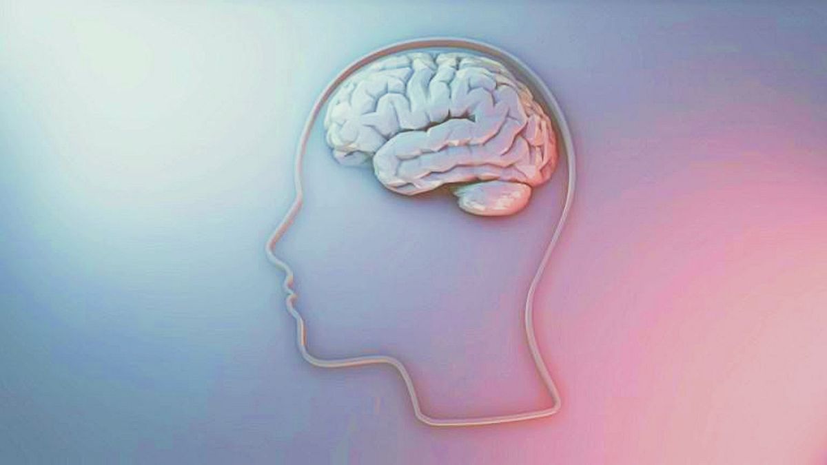 İnsan beyni, temsili