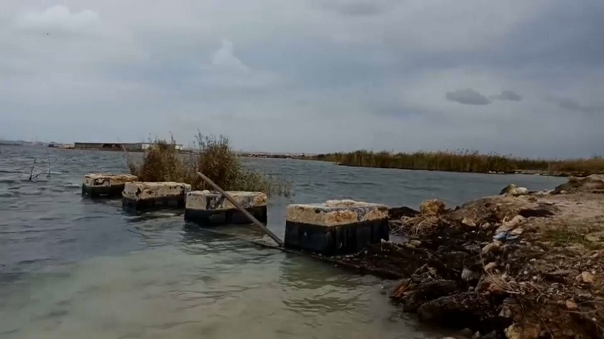 The boat capsized on Lake Mariut, near Alexandria.
