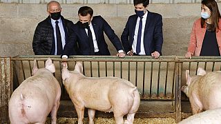 Emmanuel Macron und sein Landwirtschaftsminister in Etaules in der Region Côte d'Or