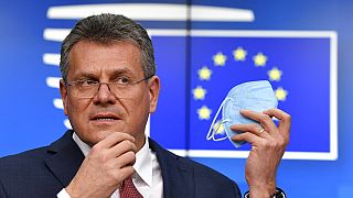 European Commission Vice-President Maros Sefcovic
