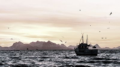 Satellite technology is being used to track ships fishing illegally off coastal and island nations. Satellite technology is being used to track ships fishing illegally off coastal and island nations.