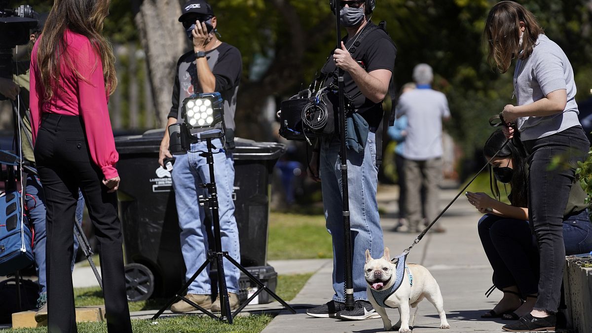 كلب بولدوغ  للمغنية الأميركية ليدي غاغا بين أعضاء وسائل الإعلام بالقرب من منطقة في شمال سييرا بونيتا أفينيو حيث تم إطلاق النار