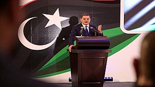 Libya speaker calls for 'representative' government