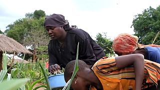 Hunger drives displaced Mozambicans to risk going home for food