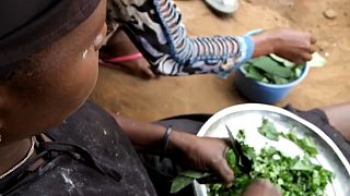 Mozambique : des déplacés bravent l'insécurité pour se nourrir