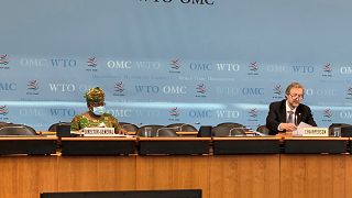 Ngozi Okonjo-Iweala a pris ses quartiers à l'OMC