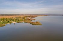 A Fertő-tó Magyarország egyik legnagyobb madárrezervátuma