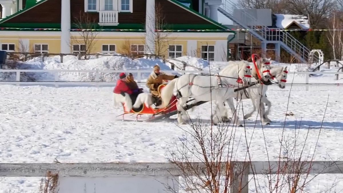 ویدئو؛ مسابقه سورتمه‌رانی با اسب در روسیه