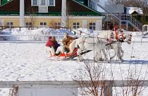 شاهد سباق حواجز مثير.. خيولٌ تجرّ عربات زلاجة في كروتوفو الروسية