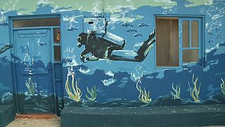 Cape Verde’s sea-inspired murals protect aquatic biodiversity