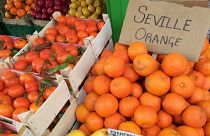 Seville Oranges, Spain