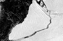 El colosal iceberg se ha desprendido la semana pasada. El radar del satélite Sentinel 1 lo captaron así el 28 de febrero
