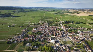 Aerial view of the village of Puligny Montrachet and surrounding vineyards