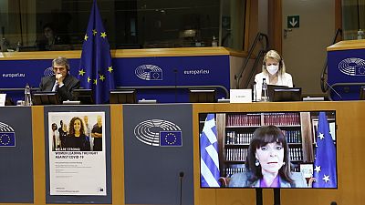 Η Κατερίνα Σακελλαροπούλου στην διαδικτυακή ομιλία της στο Ευρωπαϊκό Κοινοβούλιο 