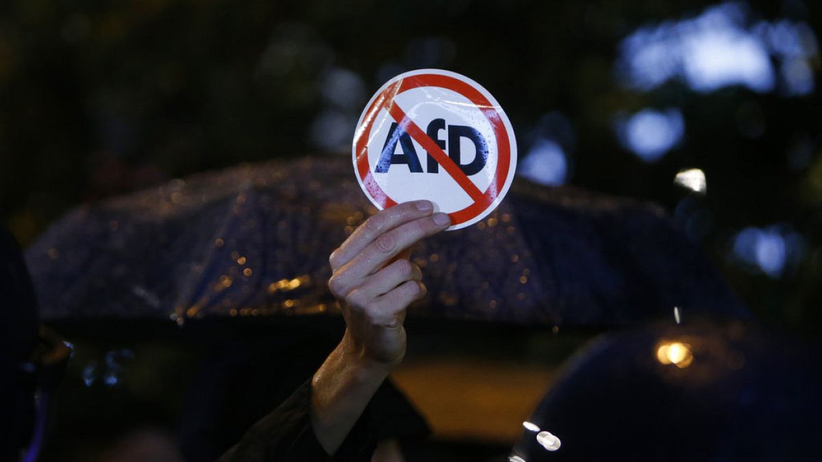 Protest gegen die AfD - ARCHIV