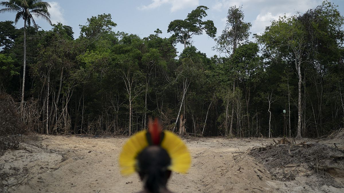 Image datant du 31 août 2019. Le chef indigène Kadjyre Kayapo regarde un chemin créé par des bûcherons dans l'État de Para, au Brésil.