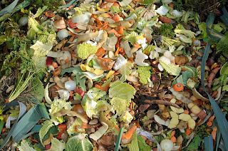 The measurements included edible items and inedible items like shells, bones and fruit pits. 