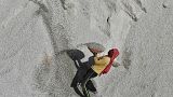 Hindistan'da inşaata kum götüren bir işçi.
