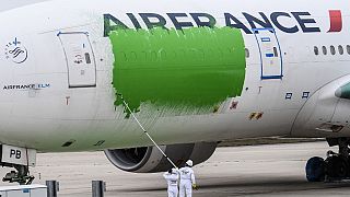 The Air France aircraft was parked on the tarmac at the Roissy-Charles de Gaulle International airport.