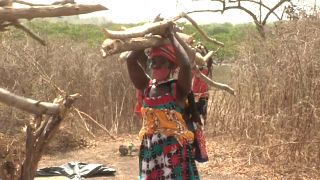 As mulheres do sal na Guiné-Bissau
