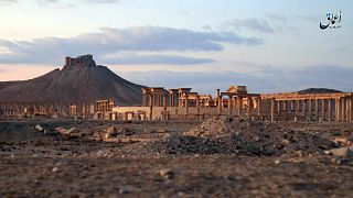 il sito archeologico di Palmira