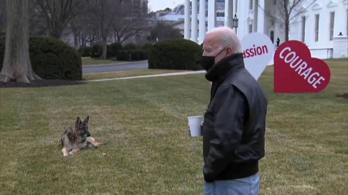 طرد كلاب جو بايدن من البيت الأبيض بعد حادث عض