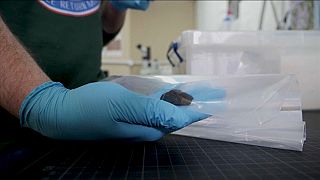 In England gelandeter Meteorit ist 4,6 Mrd. Jahre alt