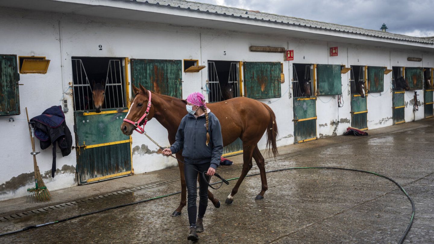 Nova cepa de vírus viral infecta e mata diversos cavalos na Europa