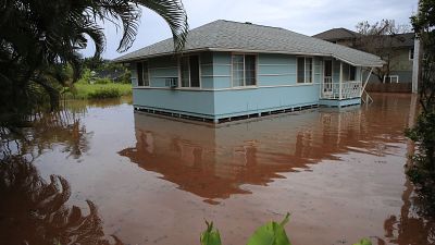 Landunter auf Oahu: Sturzfluten im Surferparadies