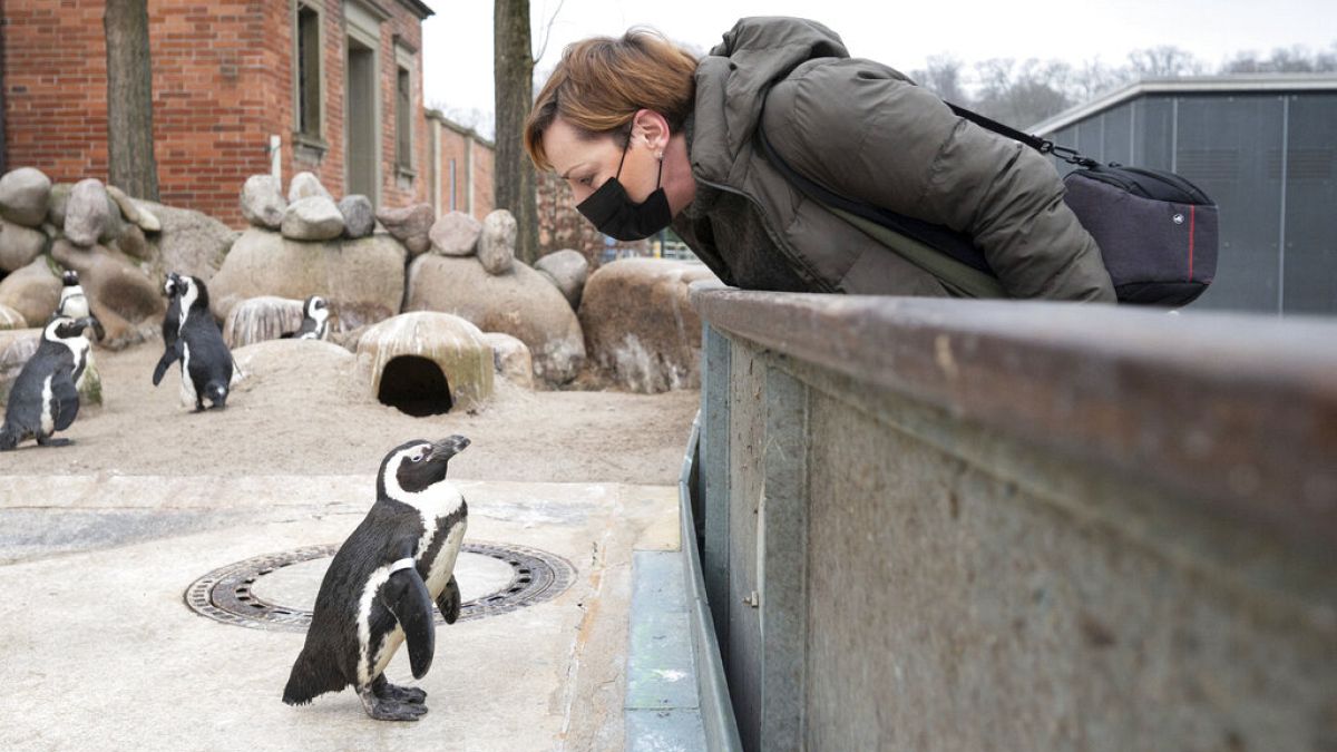 Wilhelma - Zoo in Stuttgart - ist wieder geöffnet