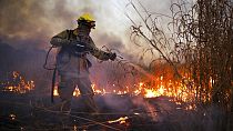Tűzoltó küzd a lángokkal Argentinában