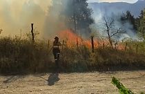 incendios en la Patagonia