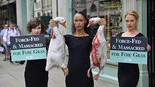 Protest against foie gras sale in UK department store Fortnum & Mason