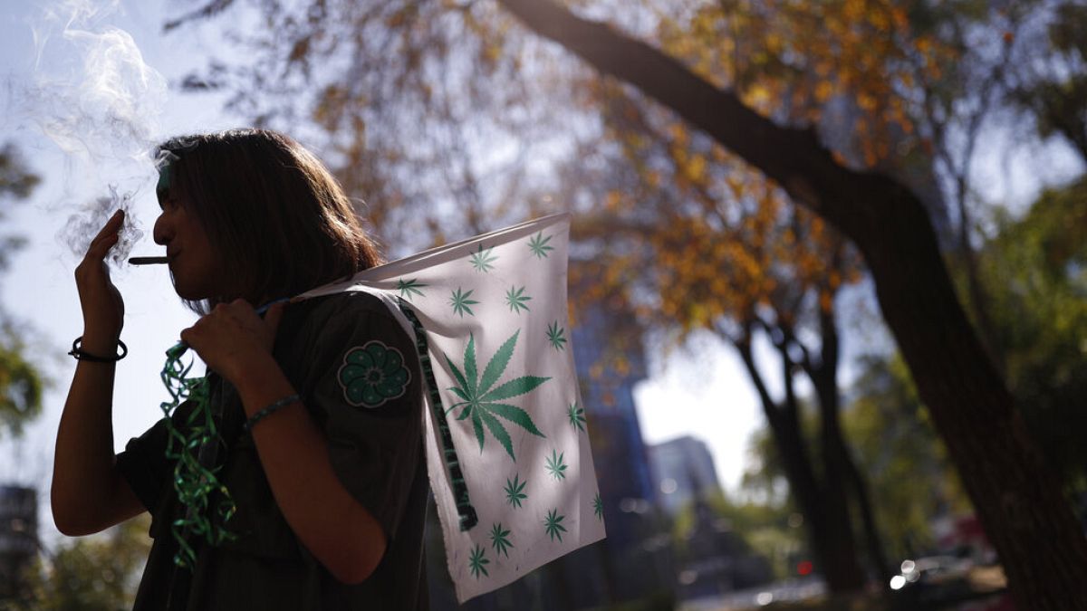 Легальна ли марихуана в мексике р тор браузер