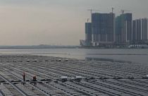 Singapur'da denize güneş panelleri
