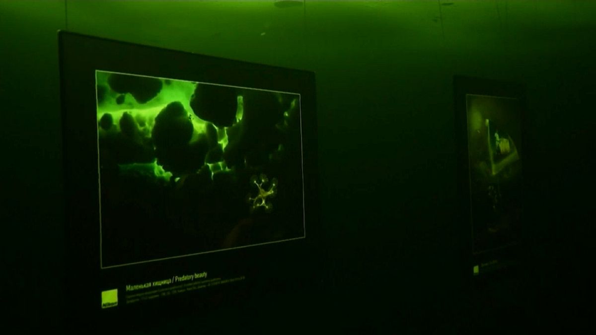 معرض فني تحت الماء أقيم تحت البحر المتجمد في روسيا