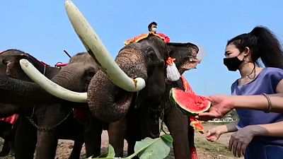 People in Thailand ride elephants to mark National Elephant Day