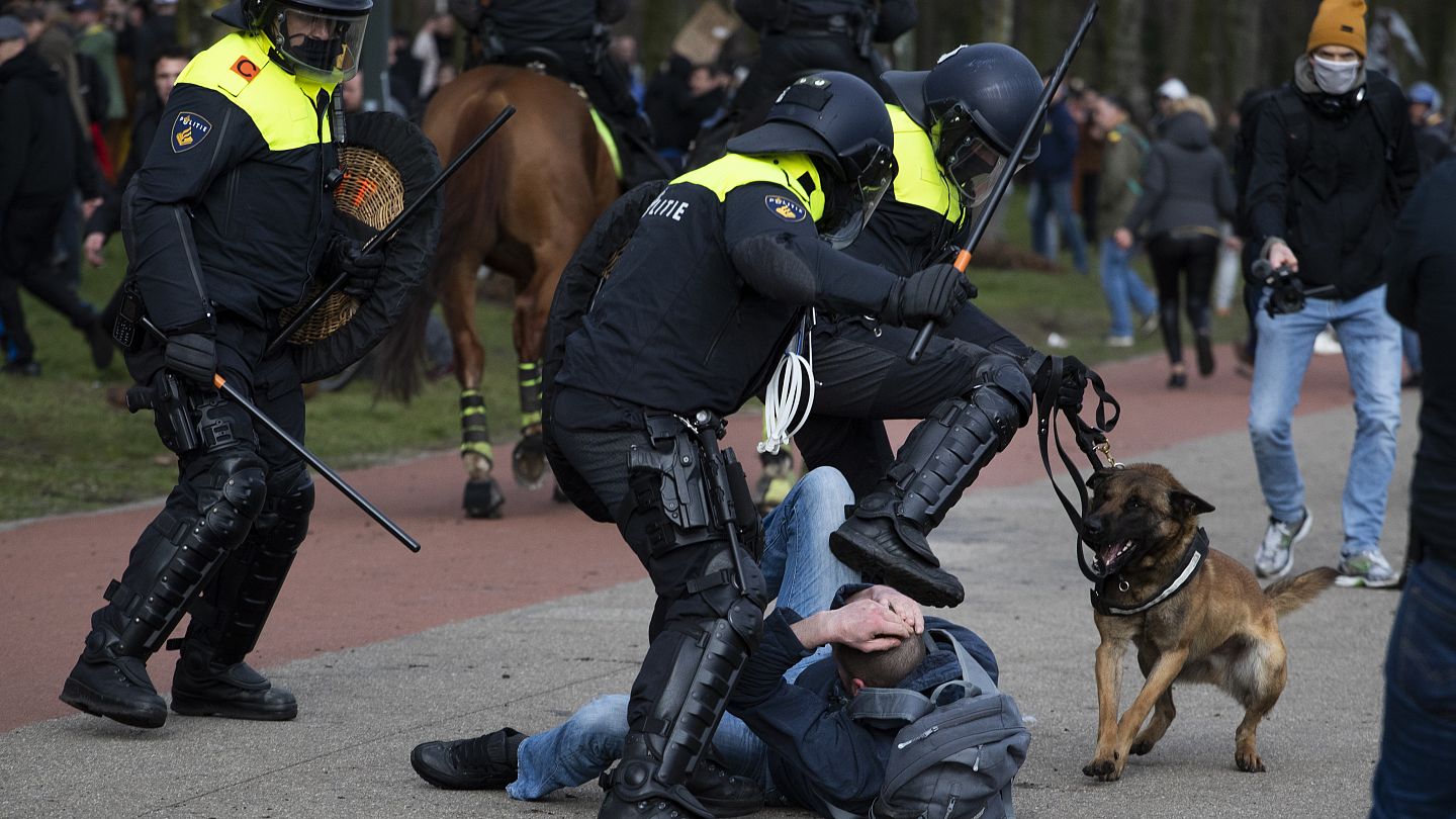 Dutch best sale police dog