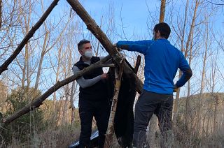 What is 'survivalism' and why is it getting so popular in Spain?