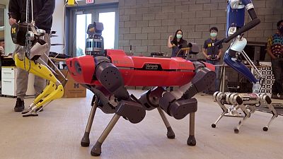 ΗΠΑ: Εγκαίνια σε πρότυπο εργαστήριο ρομποτικής στο Μίσιγκαν